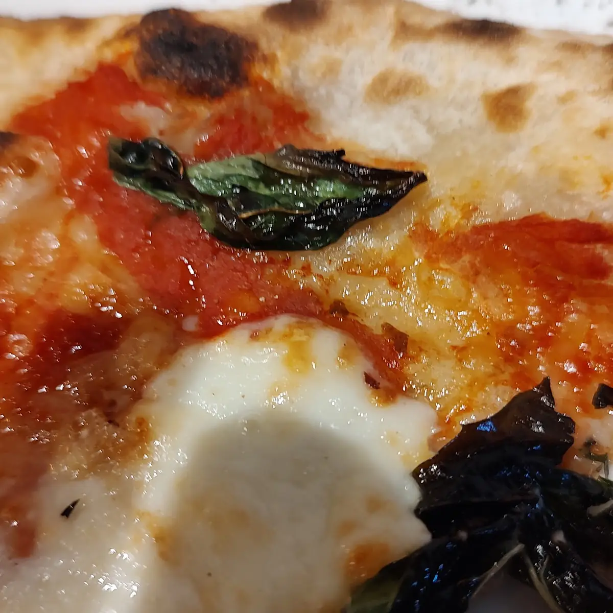 Margherita Pizza