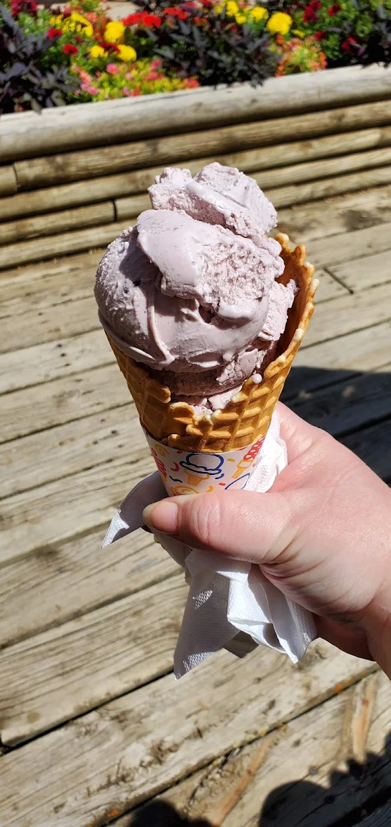 Juneberry Ice Cream Cone