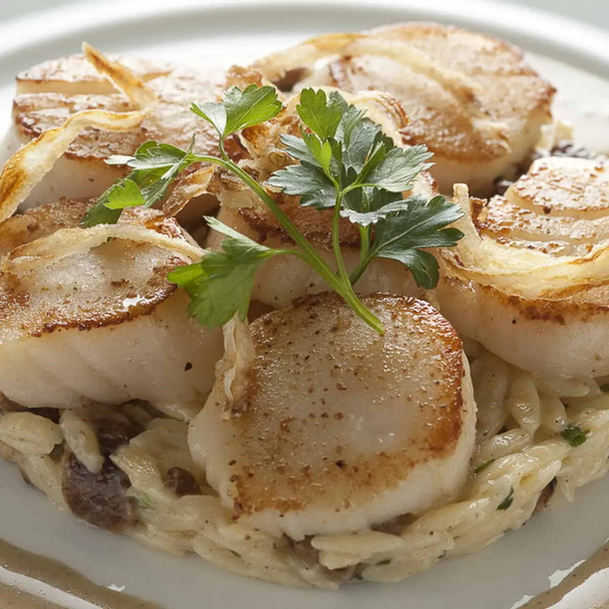 Roasted Maine Sea Scallops