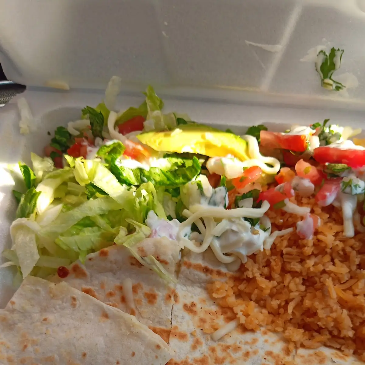 Chicken Quesadilla