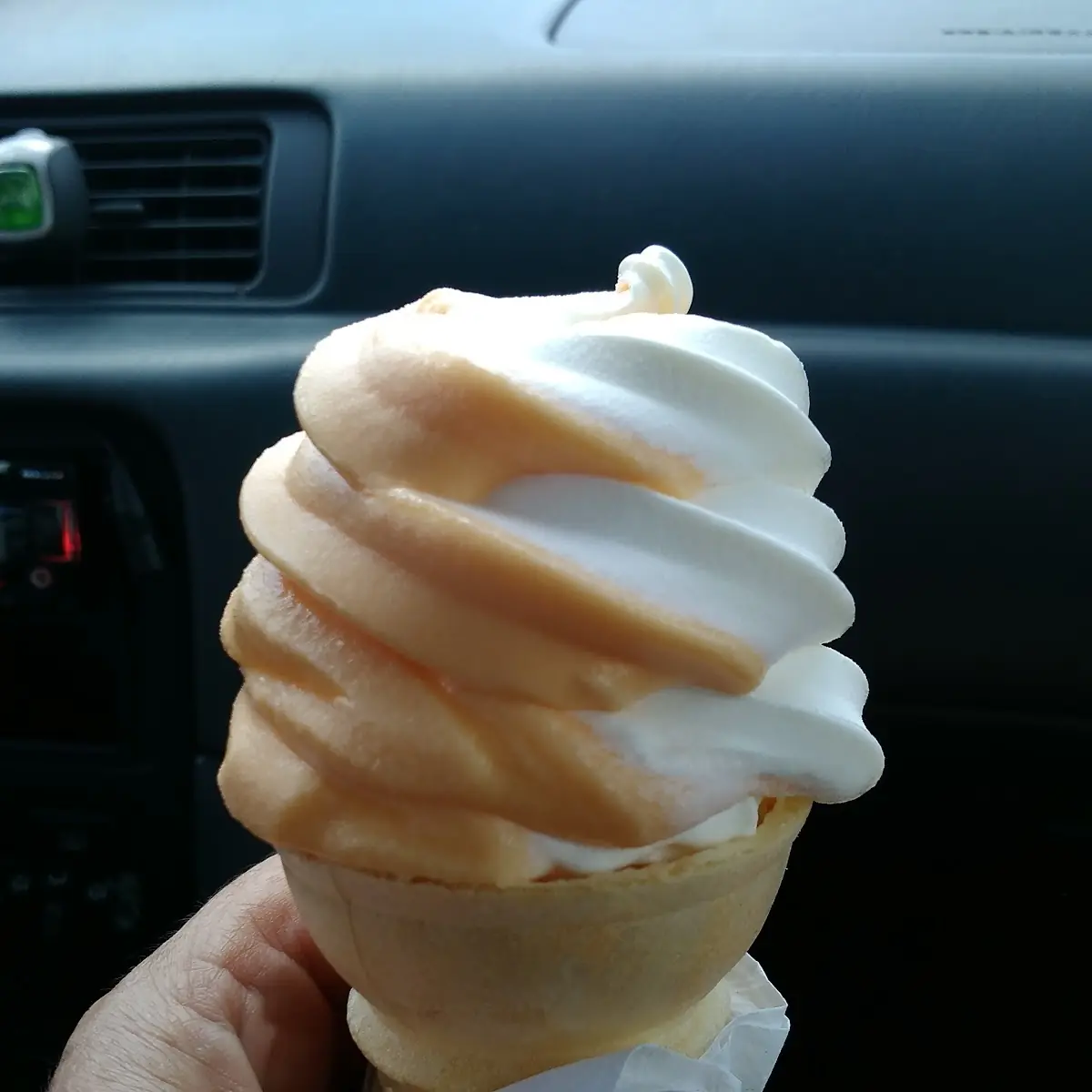 Dreamsicle Cone
