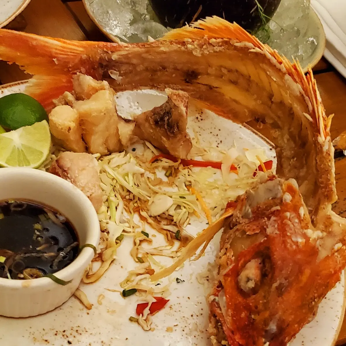 Red Snapper