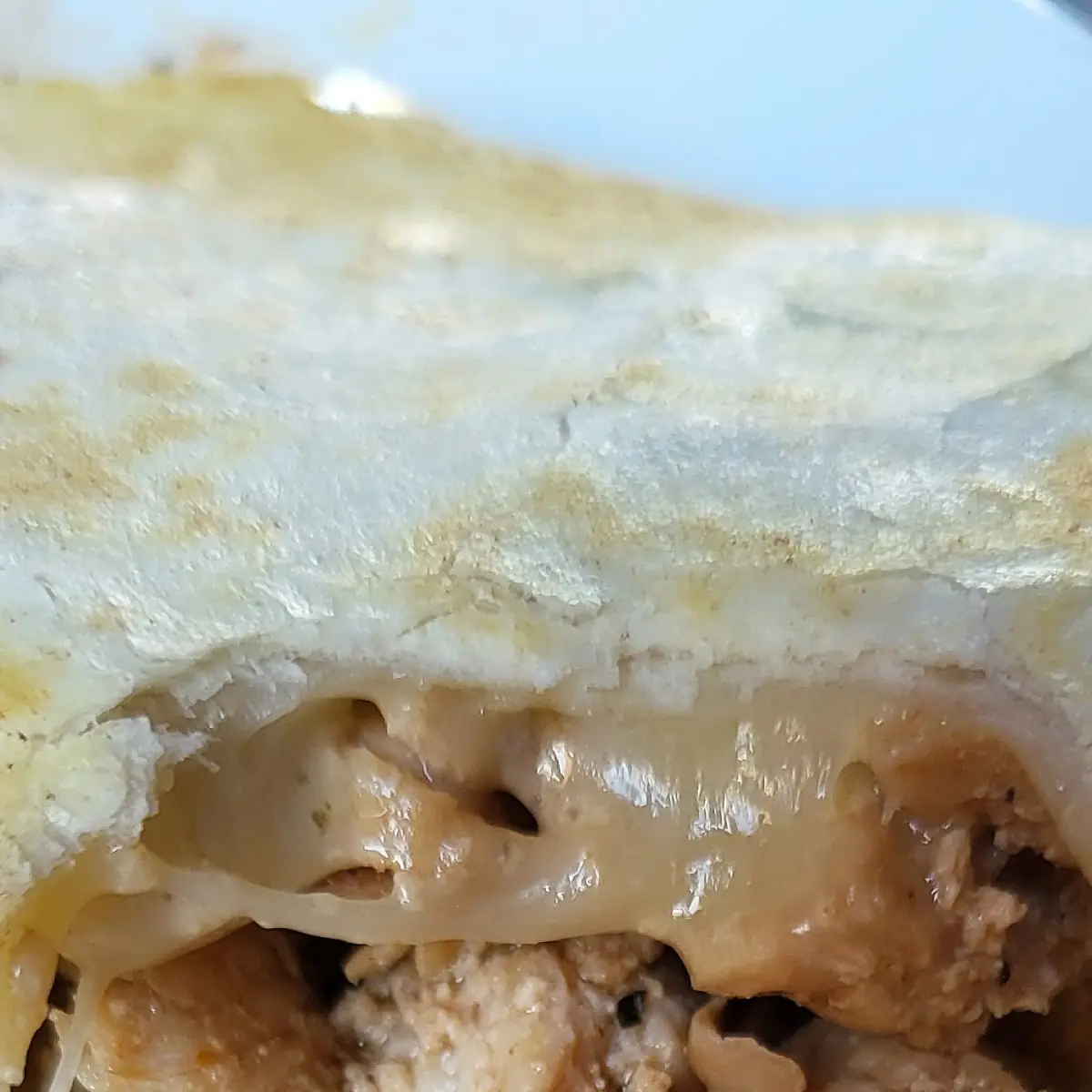 Grilled Chicken Supposedly Chicken Quesadilla