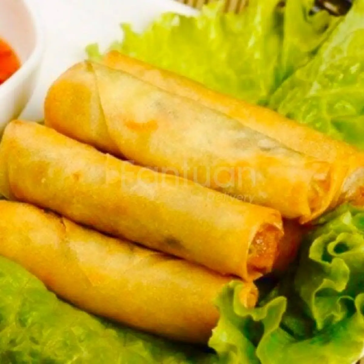 Spring Roll