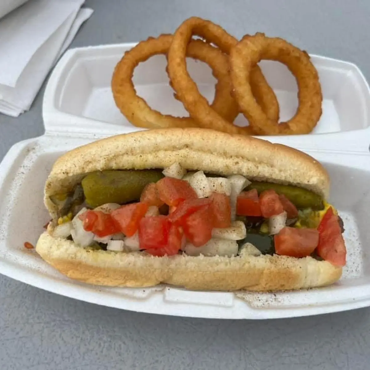 Chicago Style Hot Dog