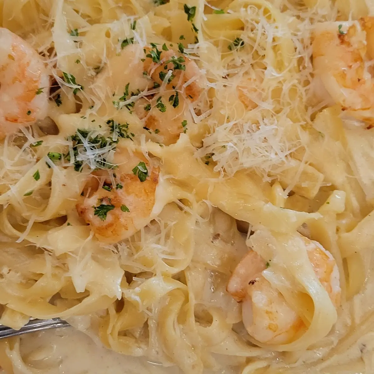 Shrimp Alfredo