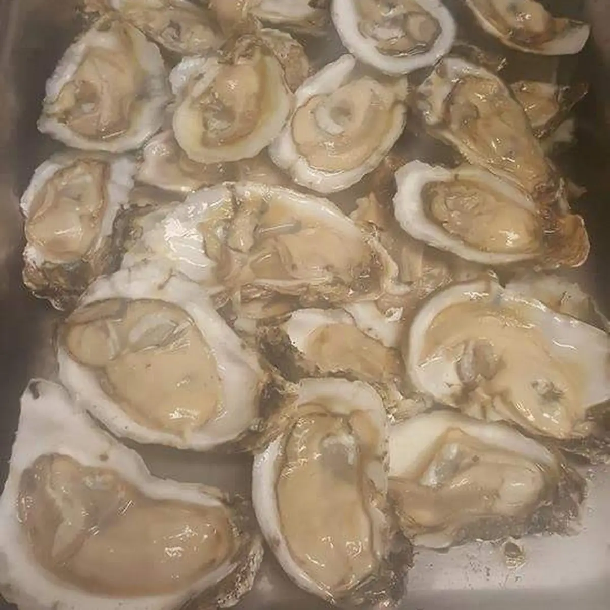 Oysters on the Half Shell