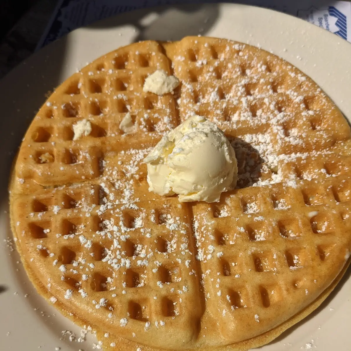 Chocolate Chip Waffle