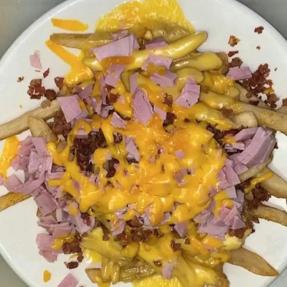 Bacon Cheesy Fries