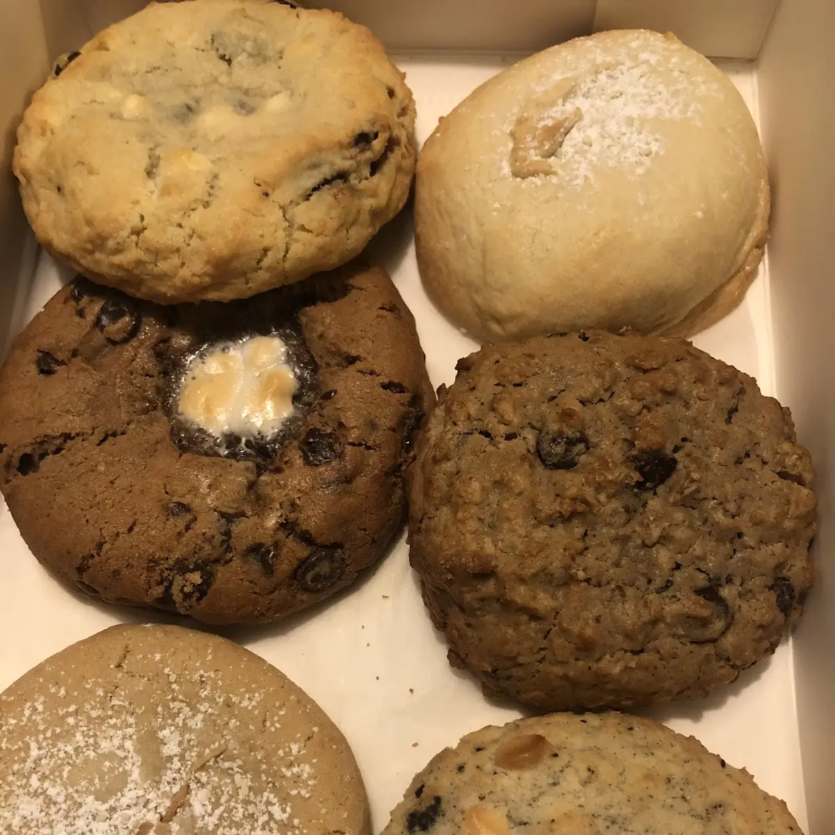 Chocolate Chip 5
