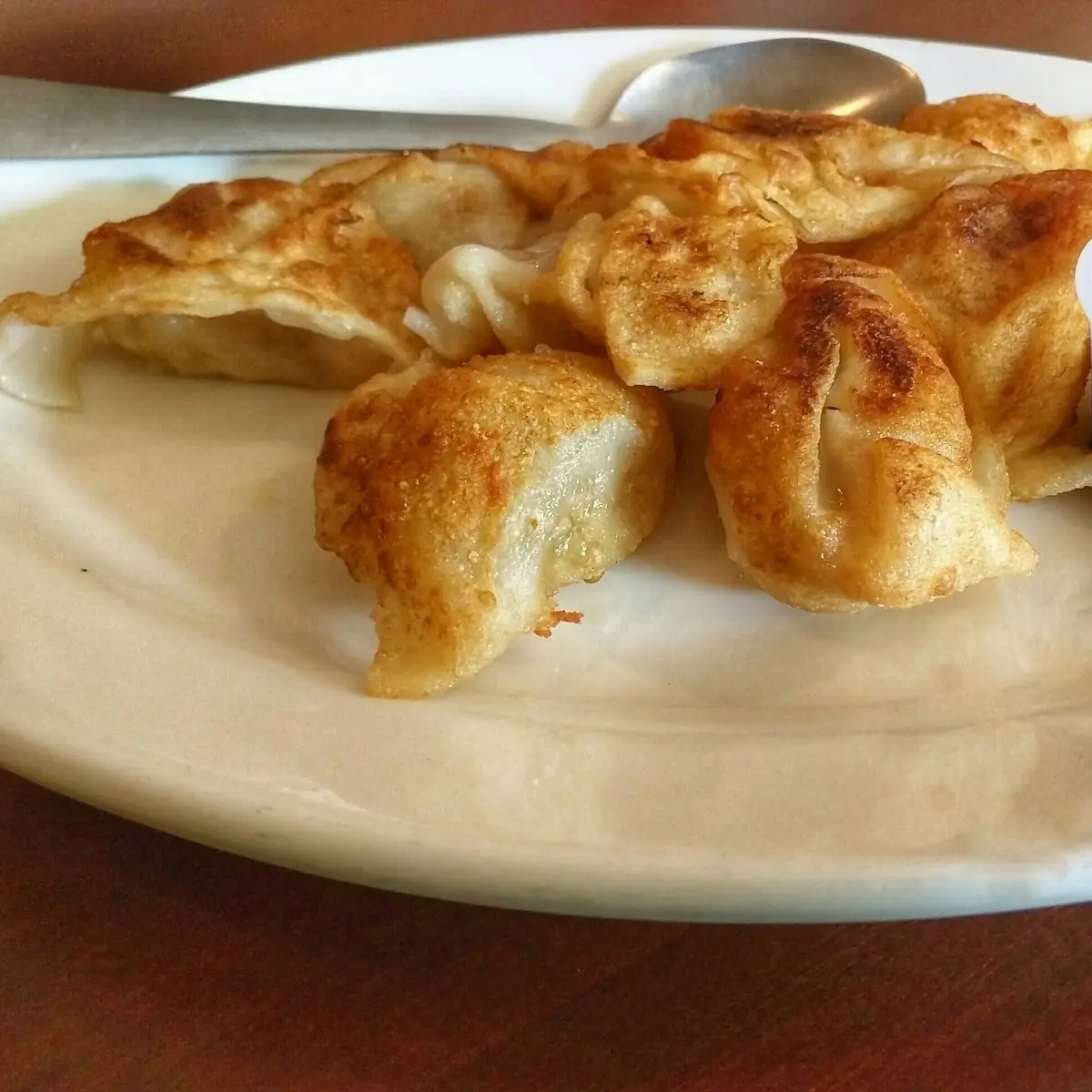 Pan Fried Dumpling