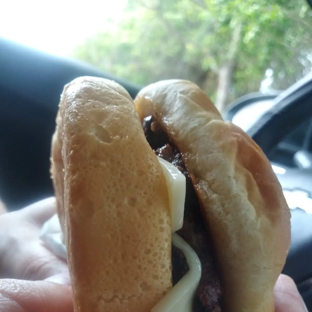 Mushroom Burger