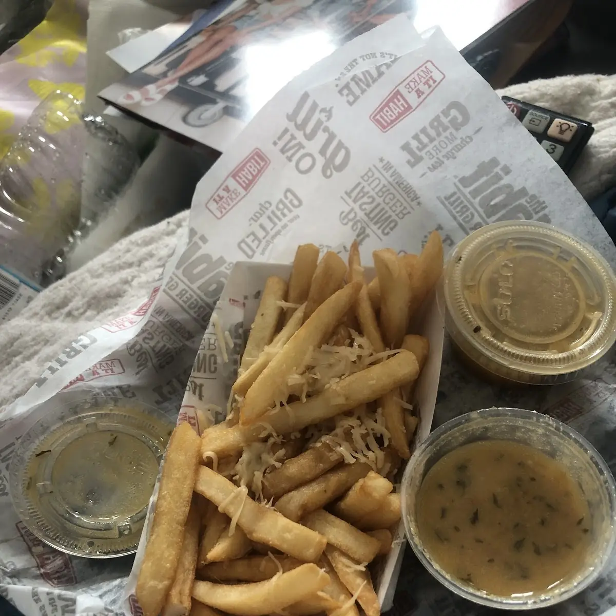 Garlic Parmesan Fries