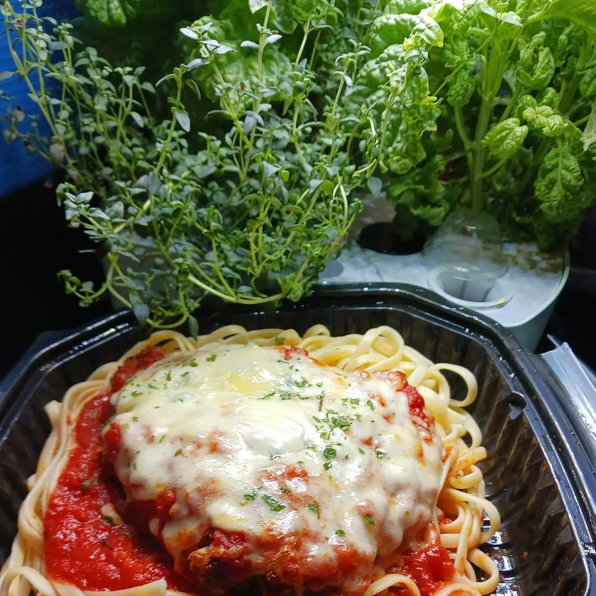 Chicken Parmesan