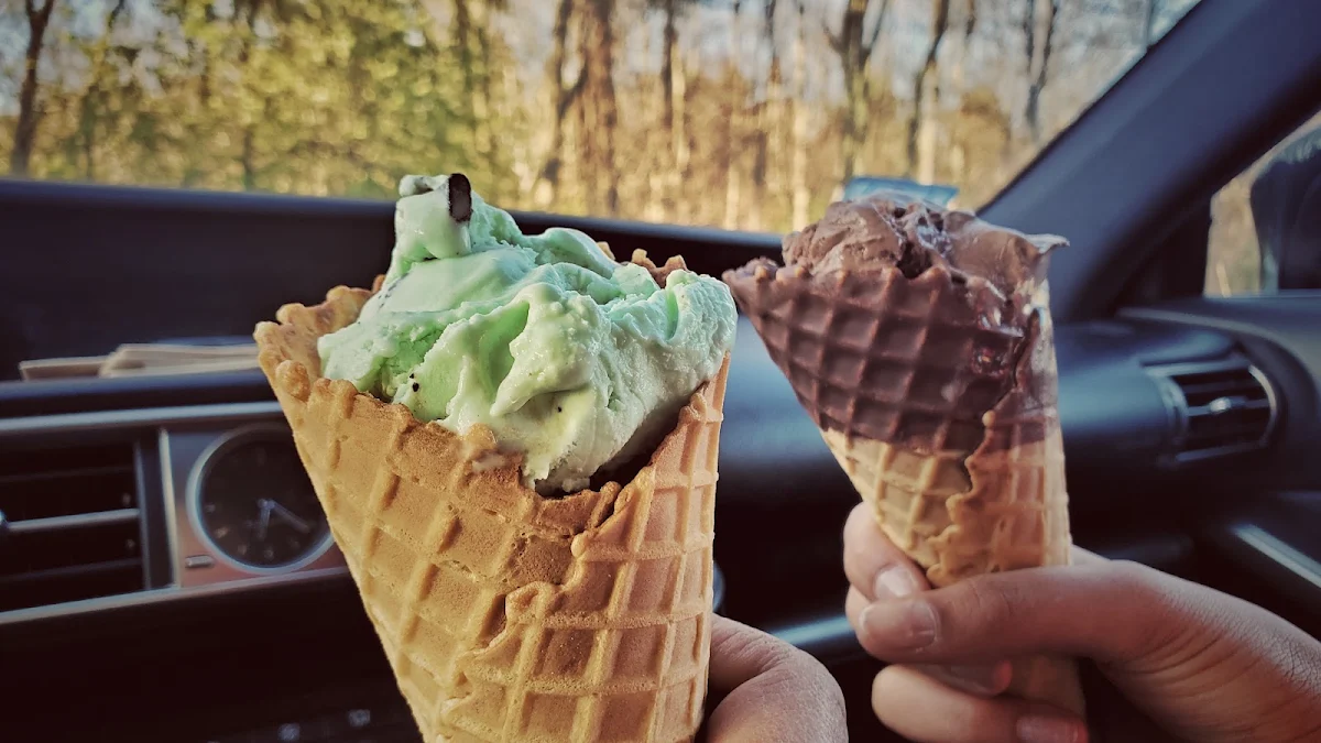 Mint Chocolate Chip Ice Cream Chocolate Ice Cream