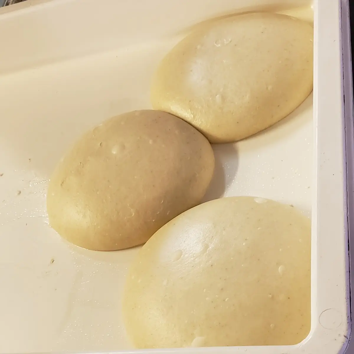 Pizza Dough
