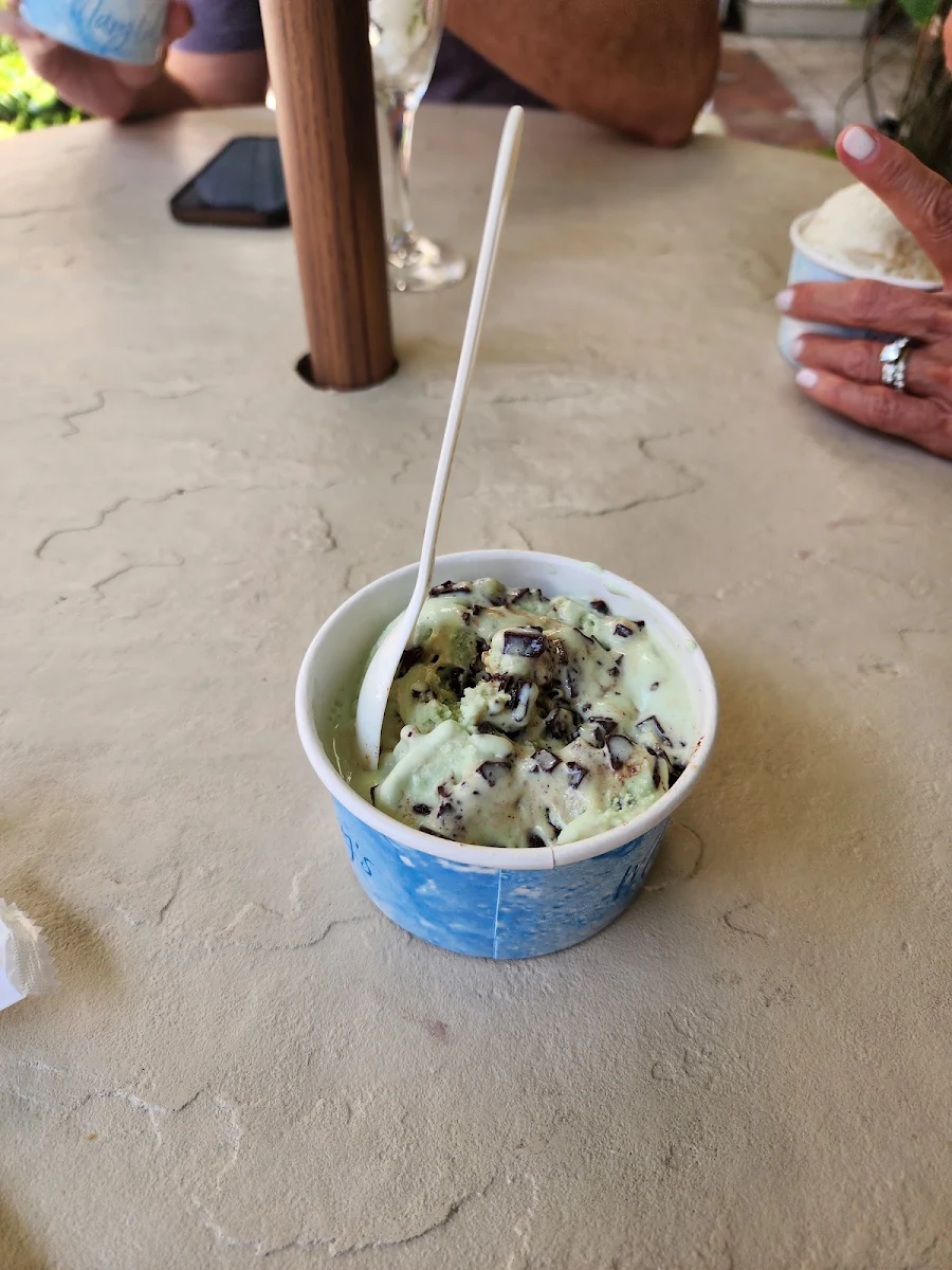 Mint Chocolate Gelato