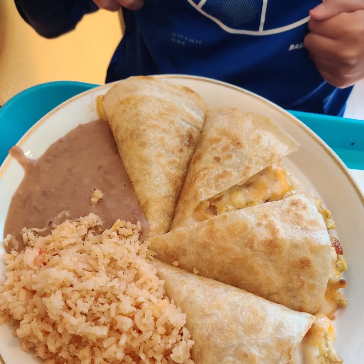 Kids Chicken Quesadilla