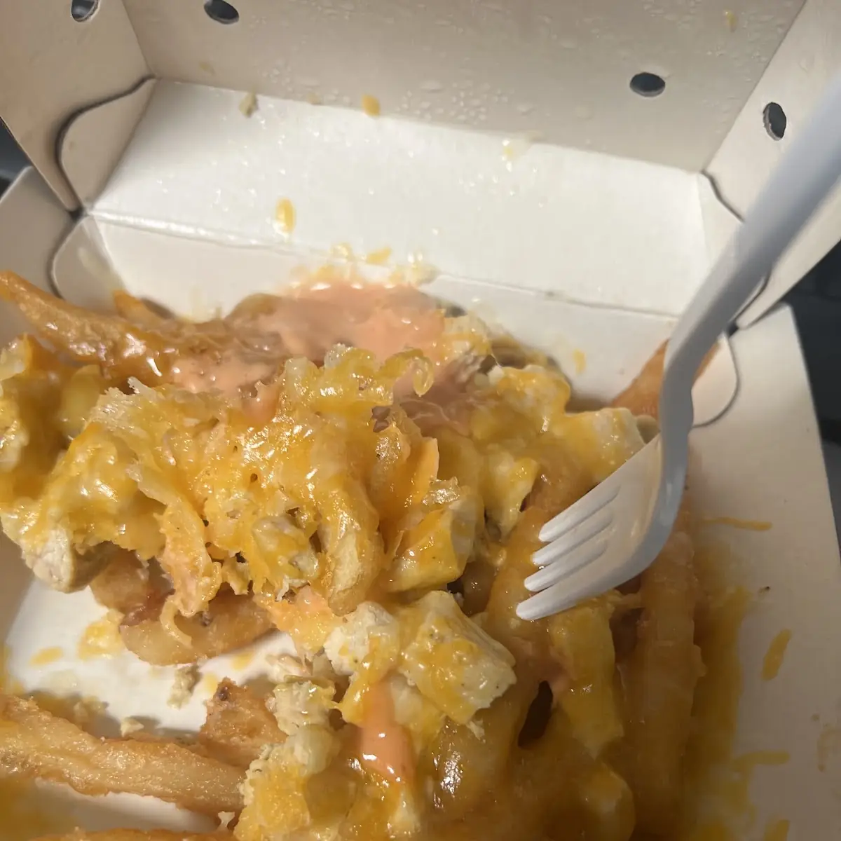 Cheese Fries