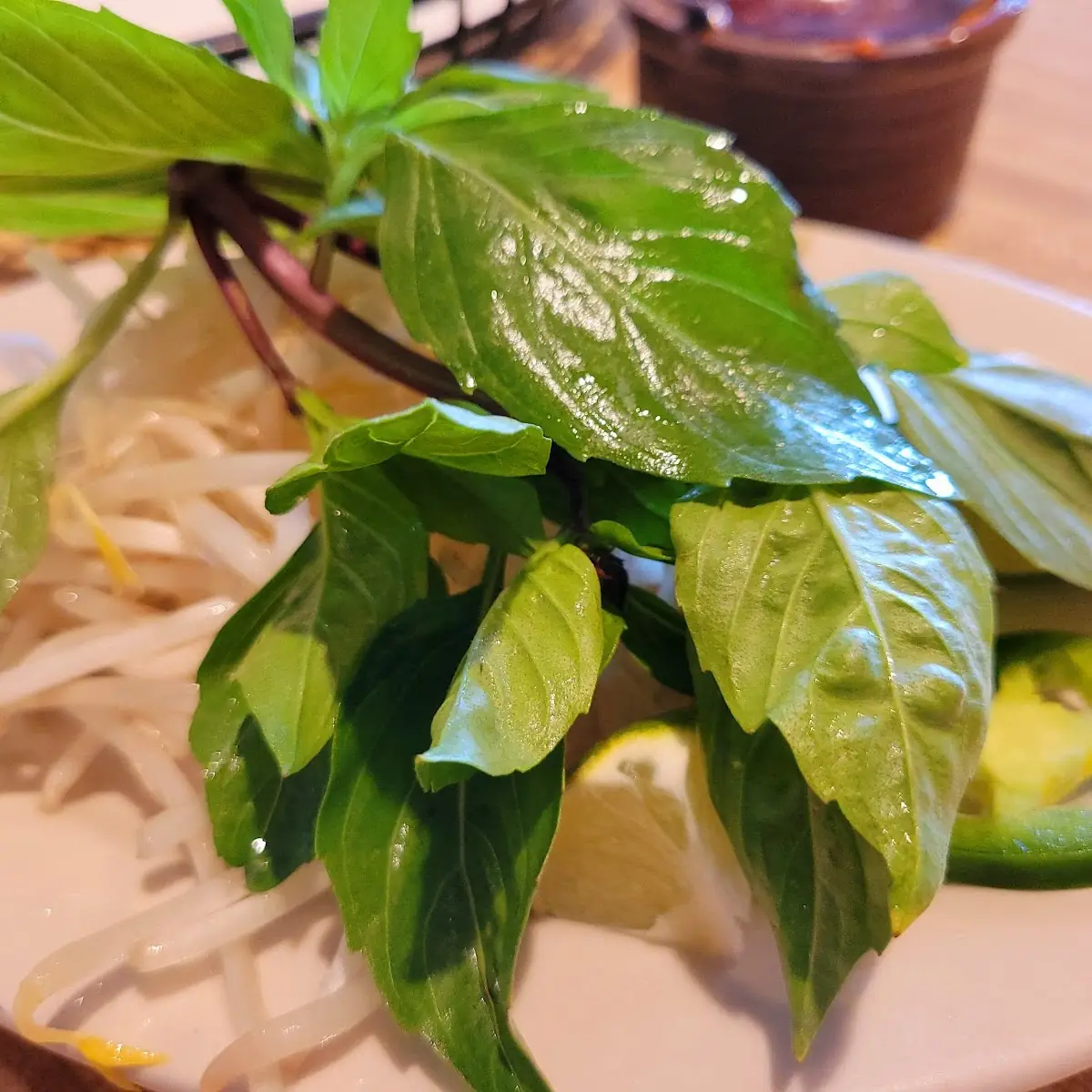 Thai Basil