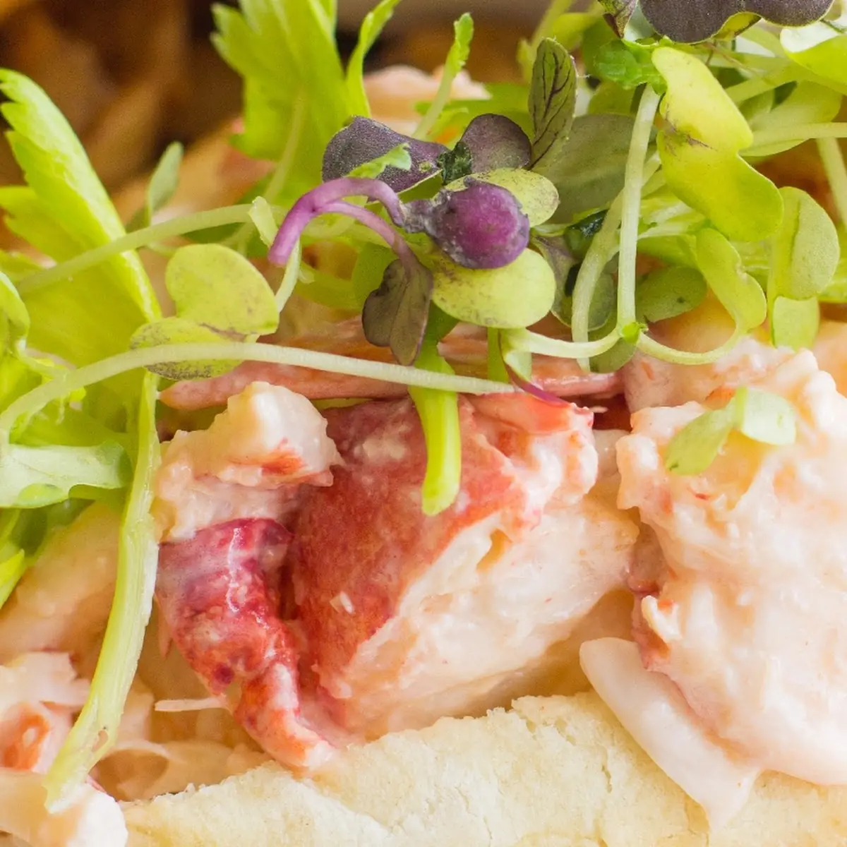 Lobster Roll