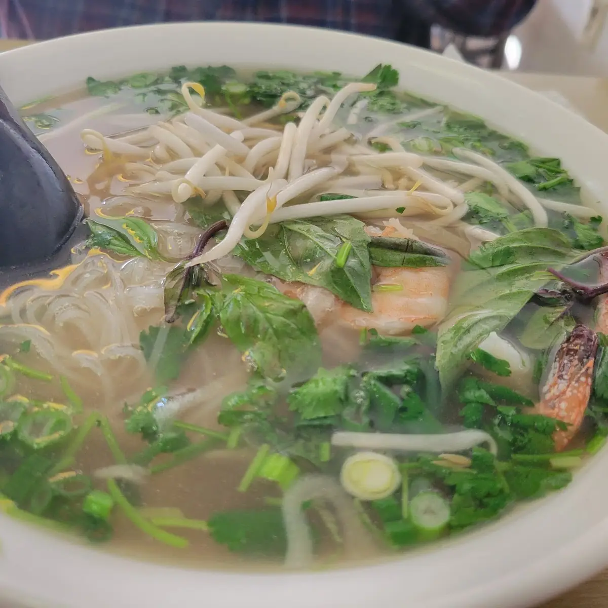 Rice Noodle in Soup