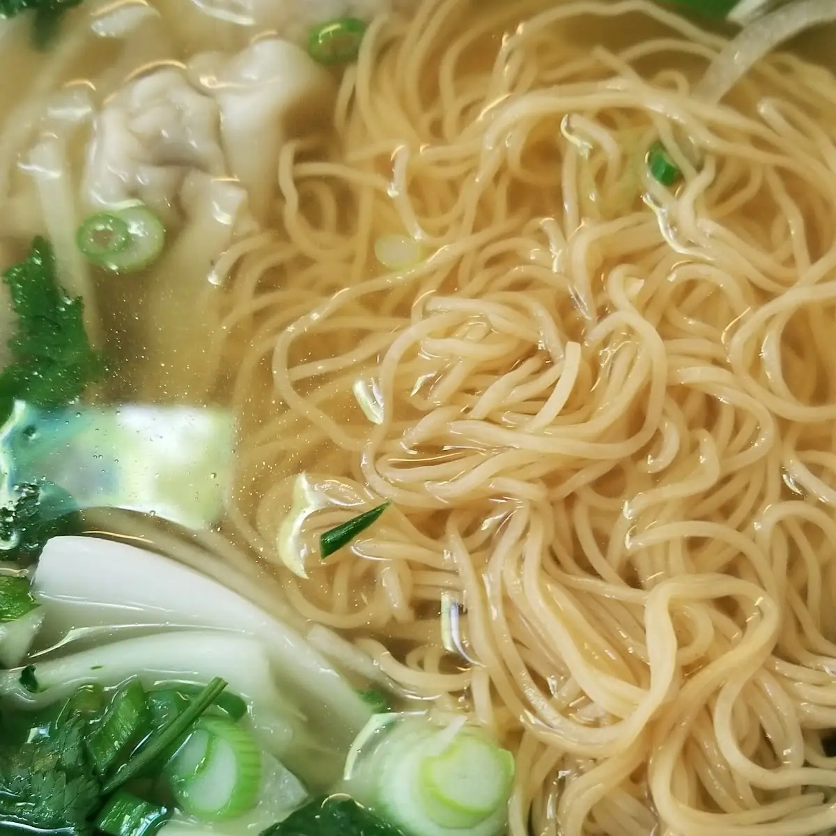 Wonton Chicken Noodle Soup