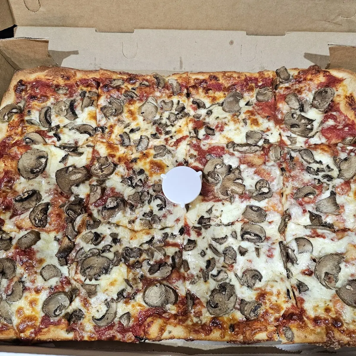 12 Cut Mushroom Pizza