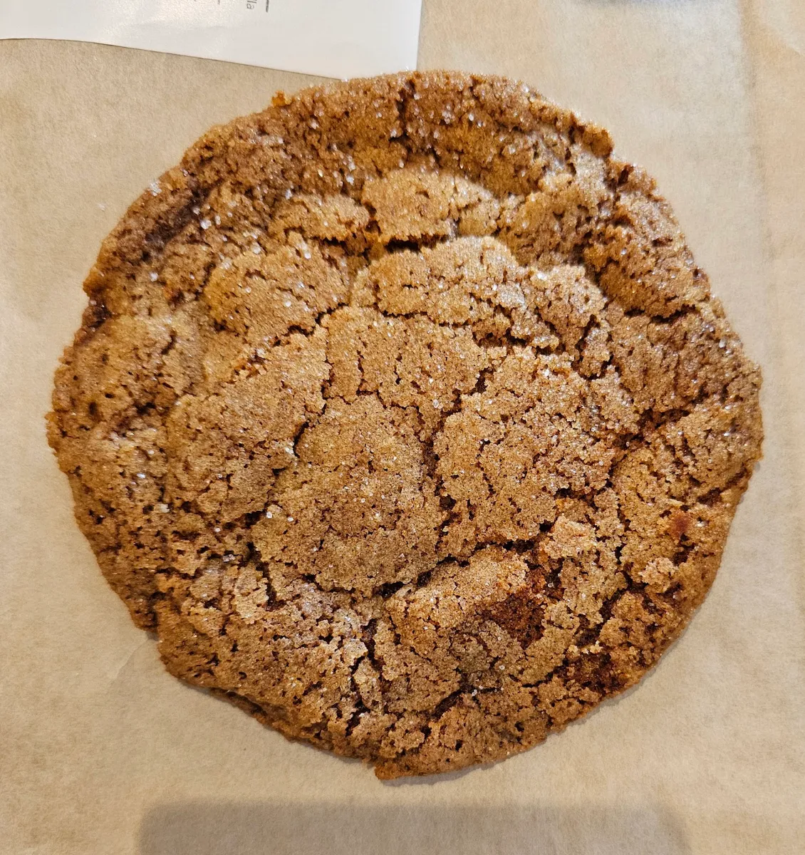 Chocolate Chip Cookie