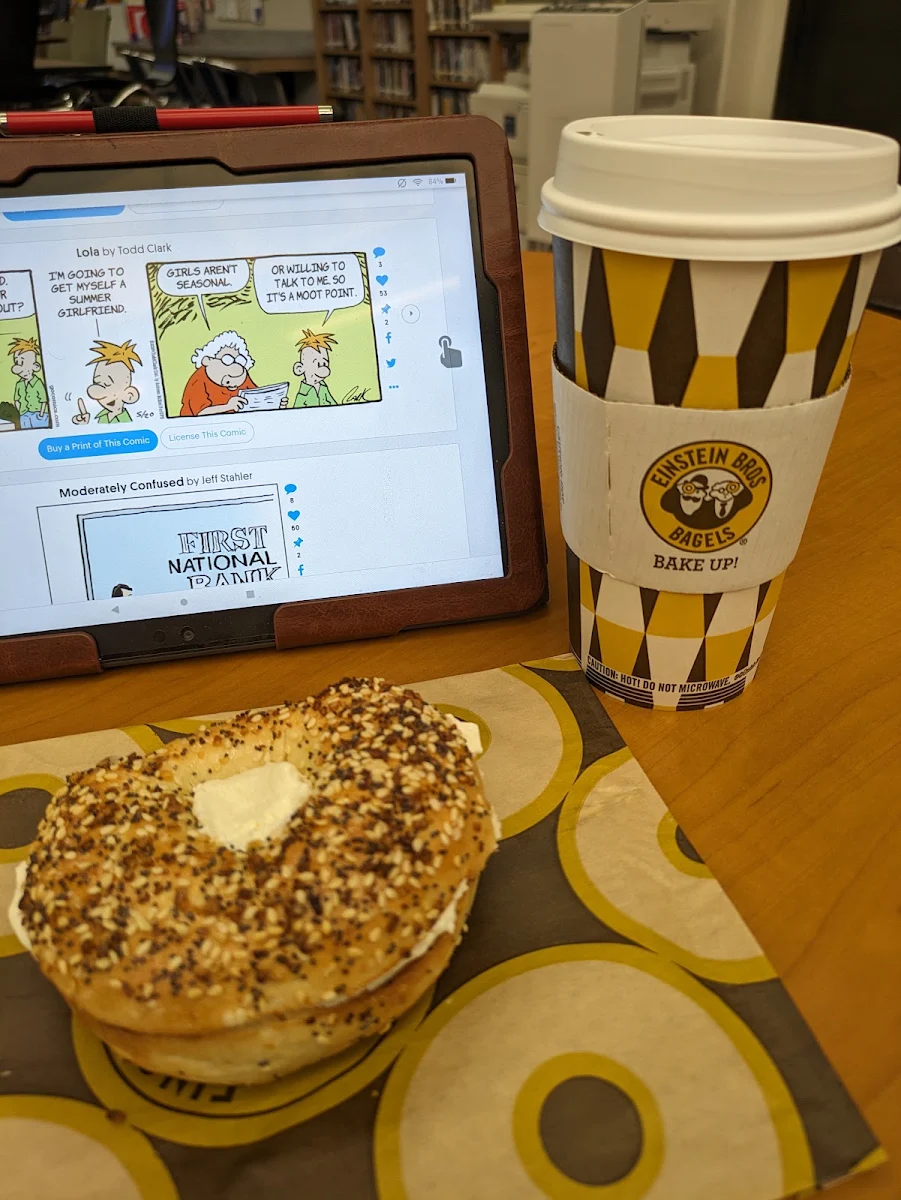 Everything Bagel w Cream Cheese