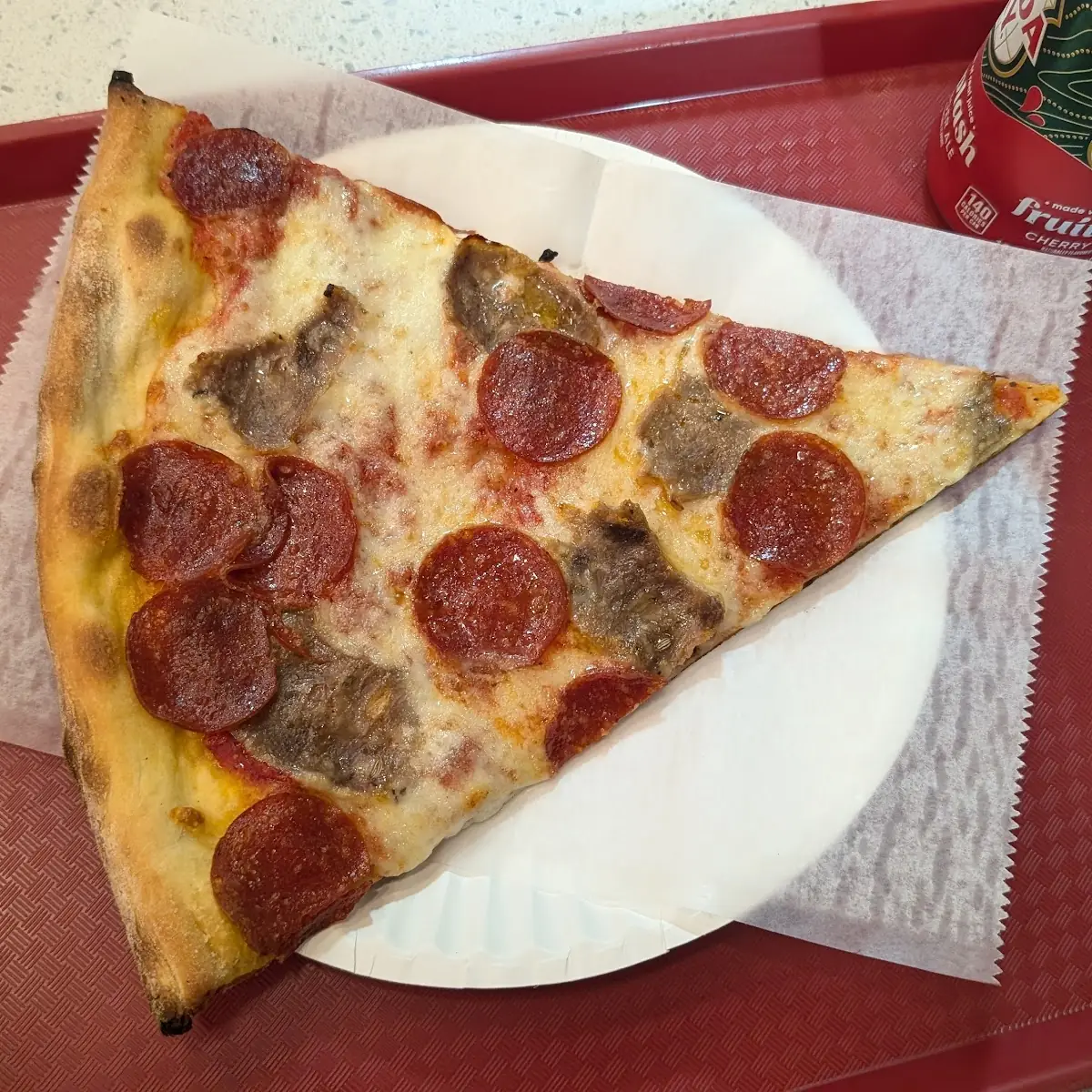 Roma's Vegetarian Pizza Slice