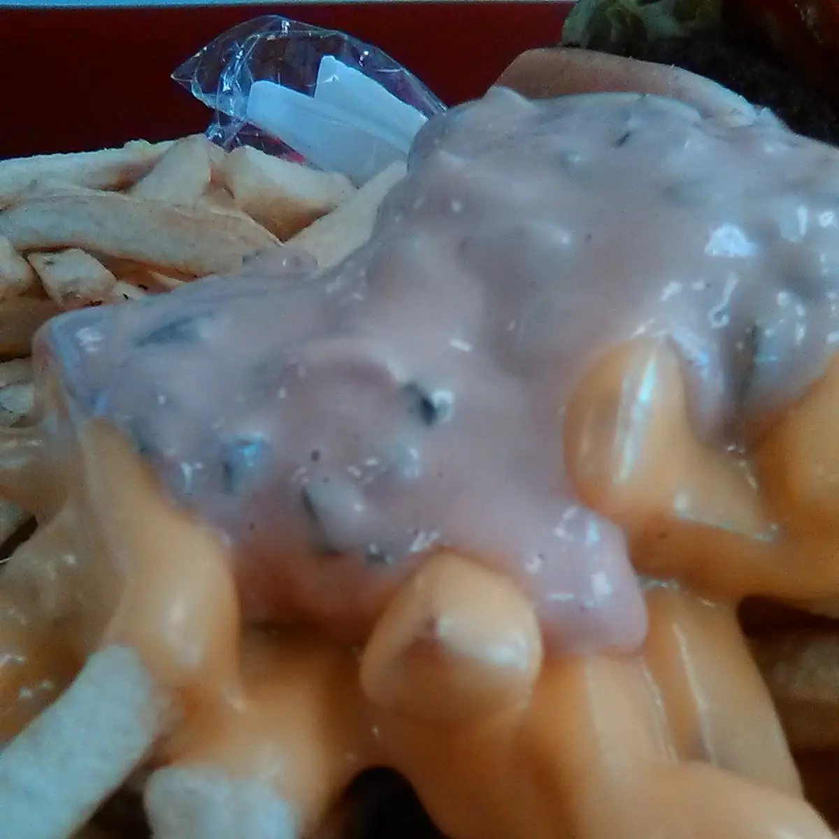 Cheese Fries