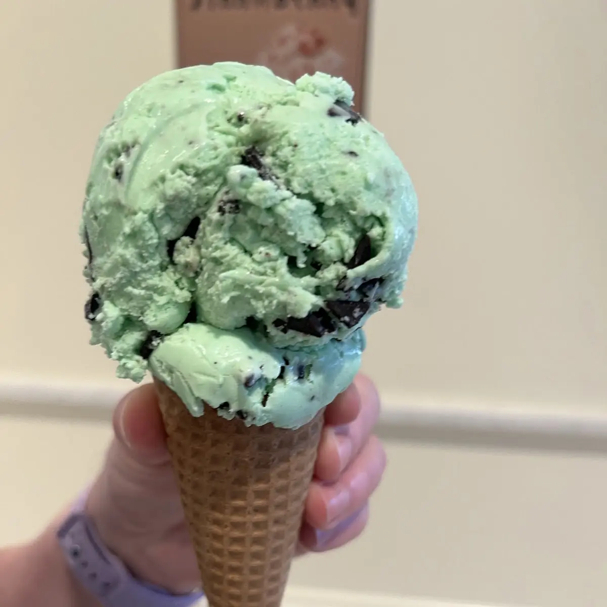 Mint Chocolate Chip