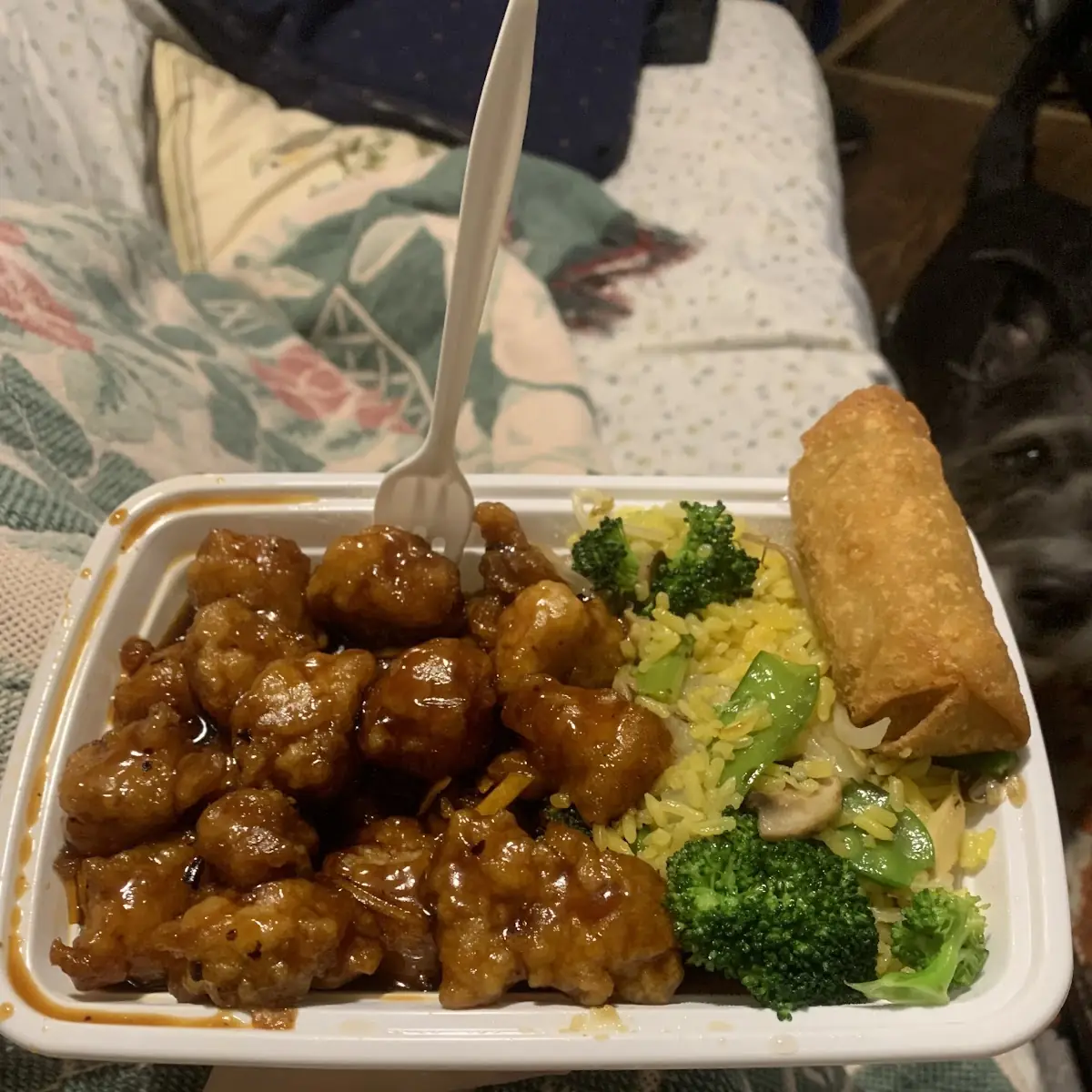 Orange Chicken Combo with Vegetable Fried Rice