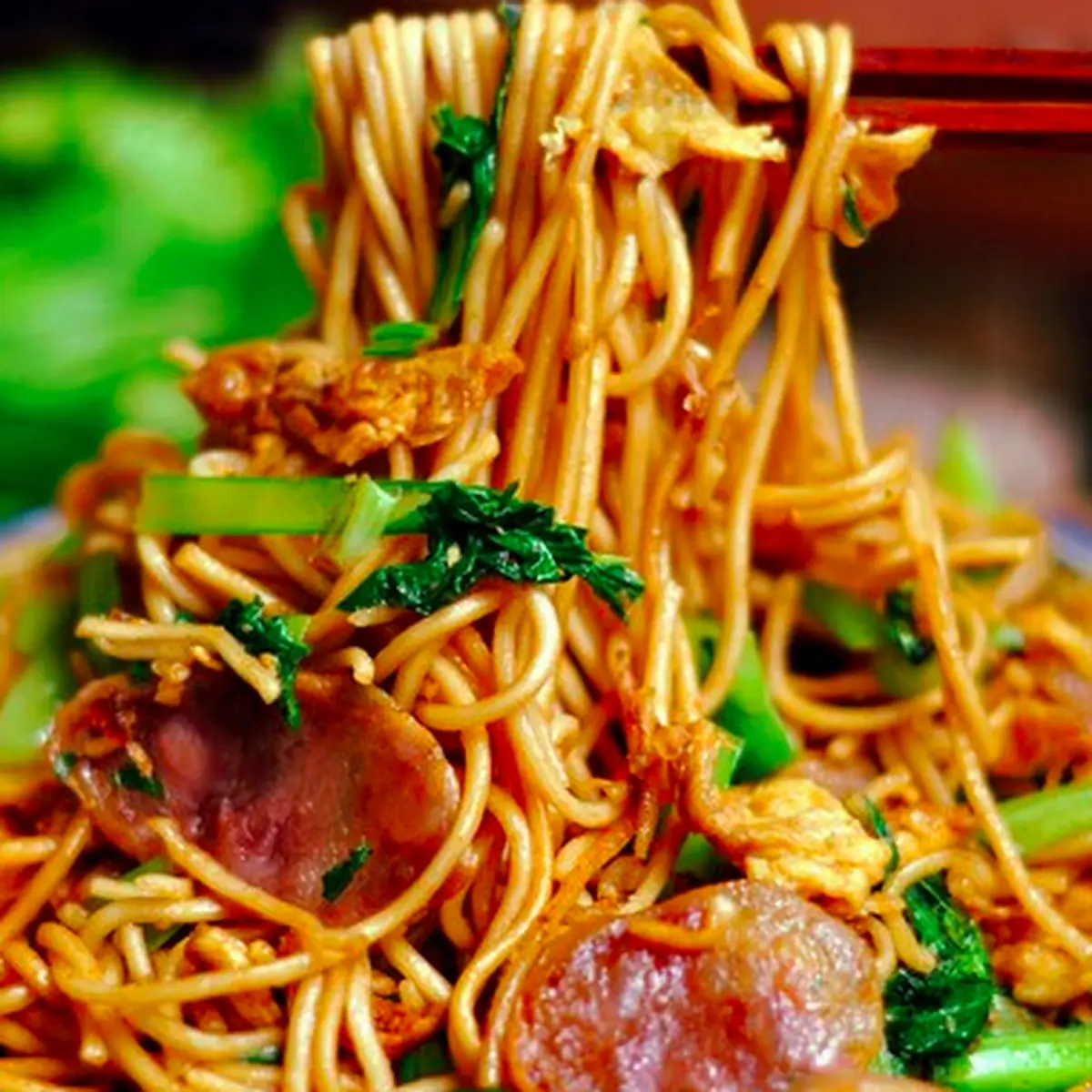 Roast Pork Lo Mein pt