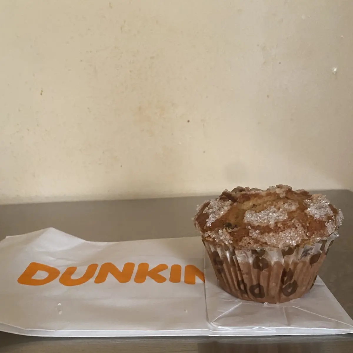 Chocolate Chip Muffin