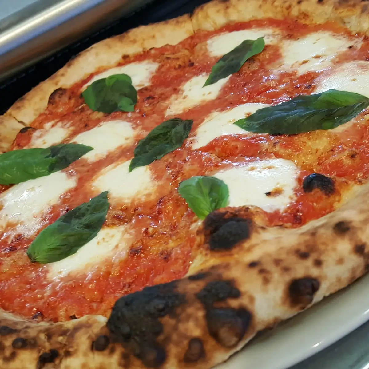 Margarita Pizza