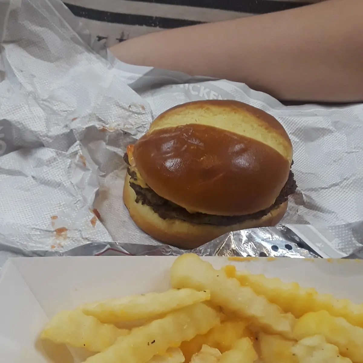 Burger Big Box - 24 Double Cheeseburgers