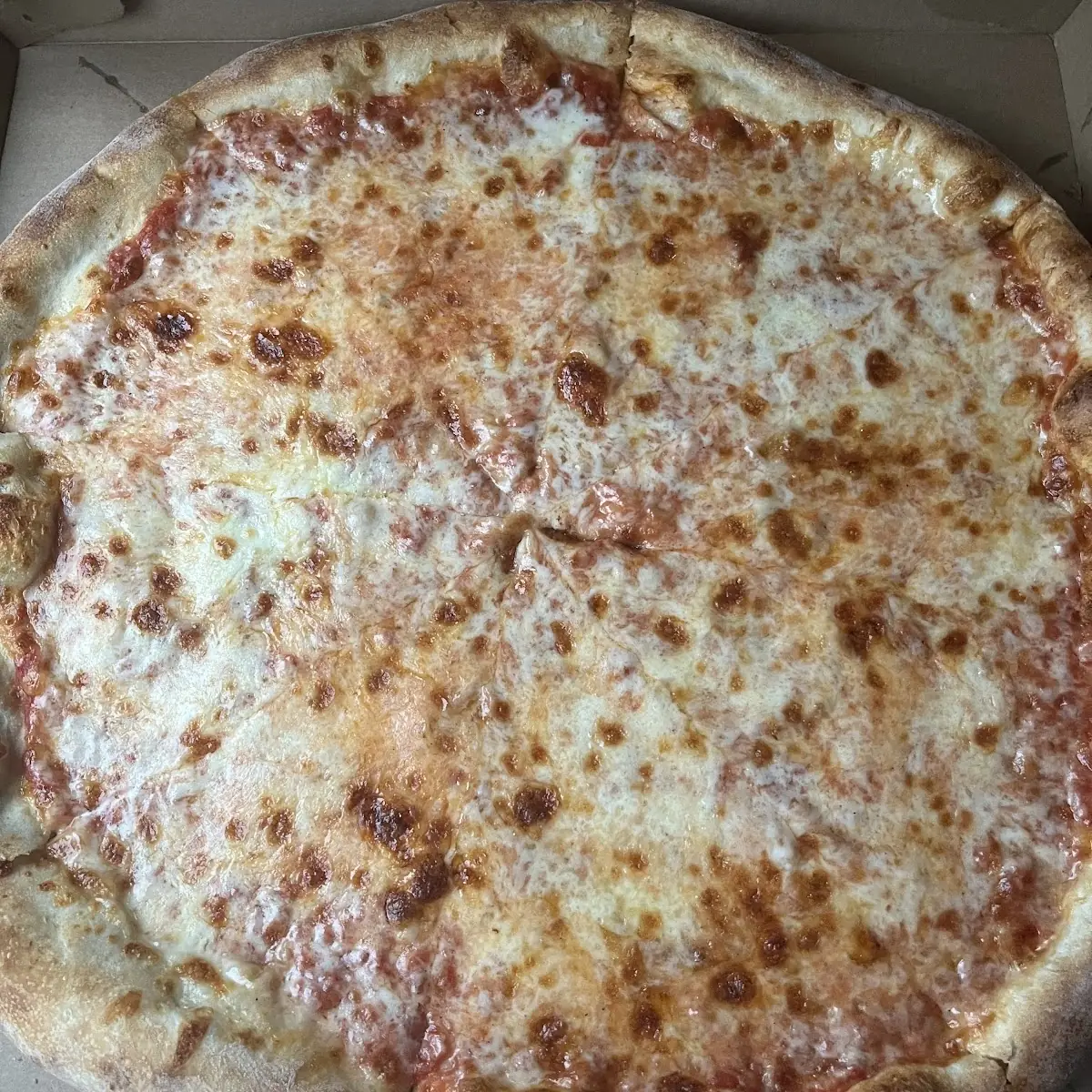 Cheese Pizza