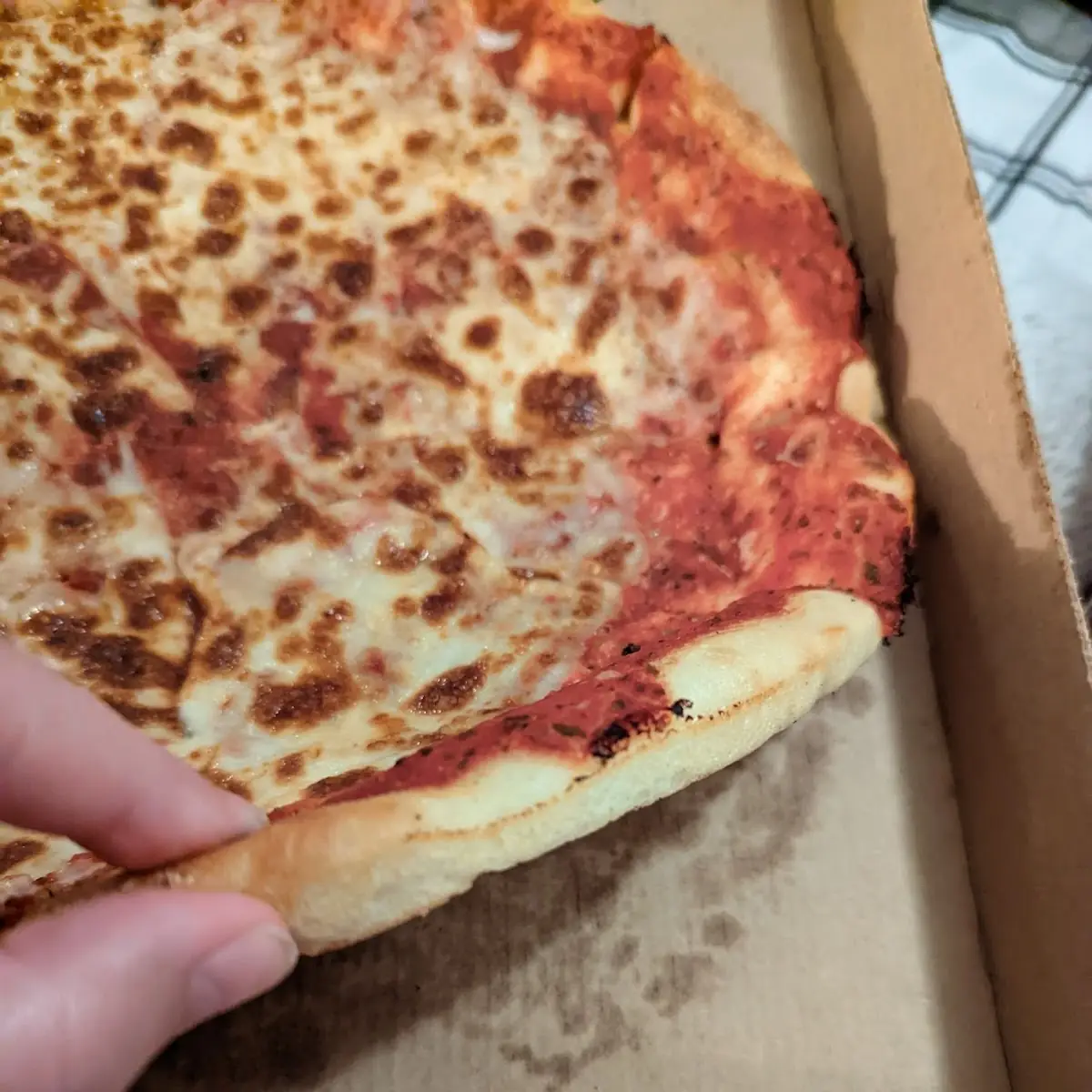 Cheese Pizza