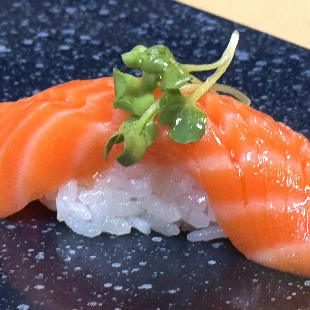 Salmon Sake