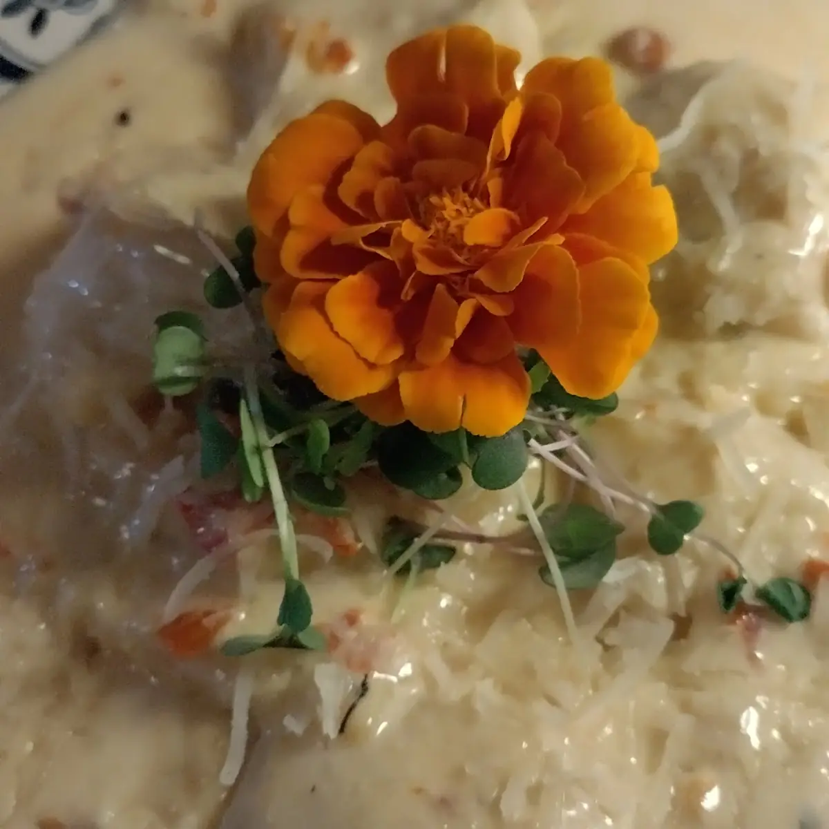Lobster Raviolis