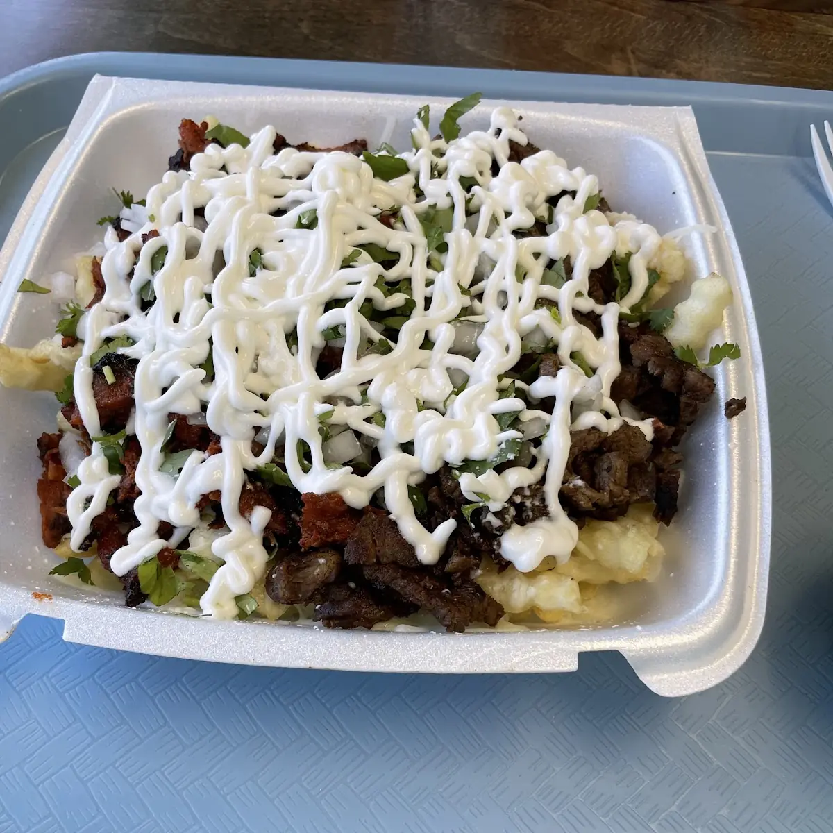 Asada Fries