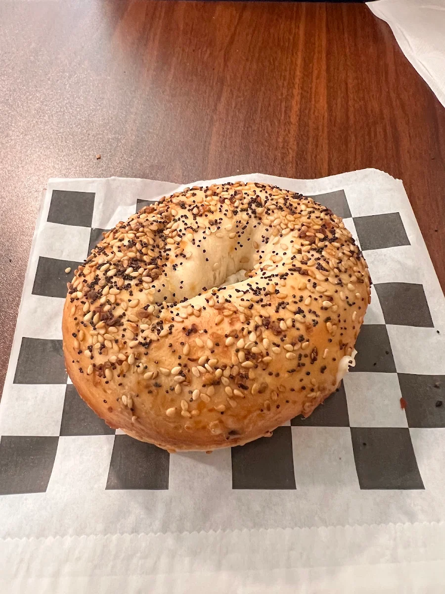 Plain Bagel