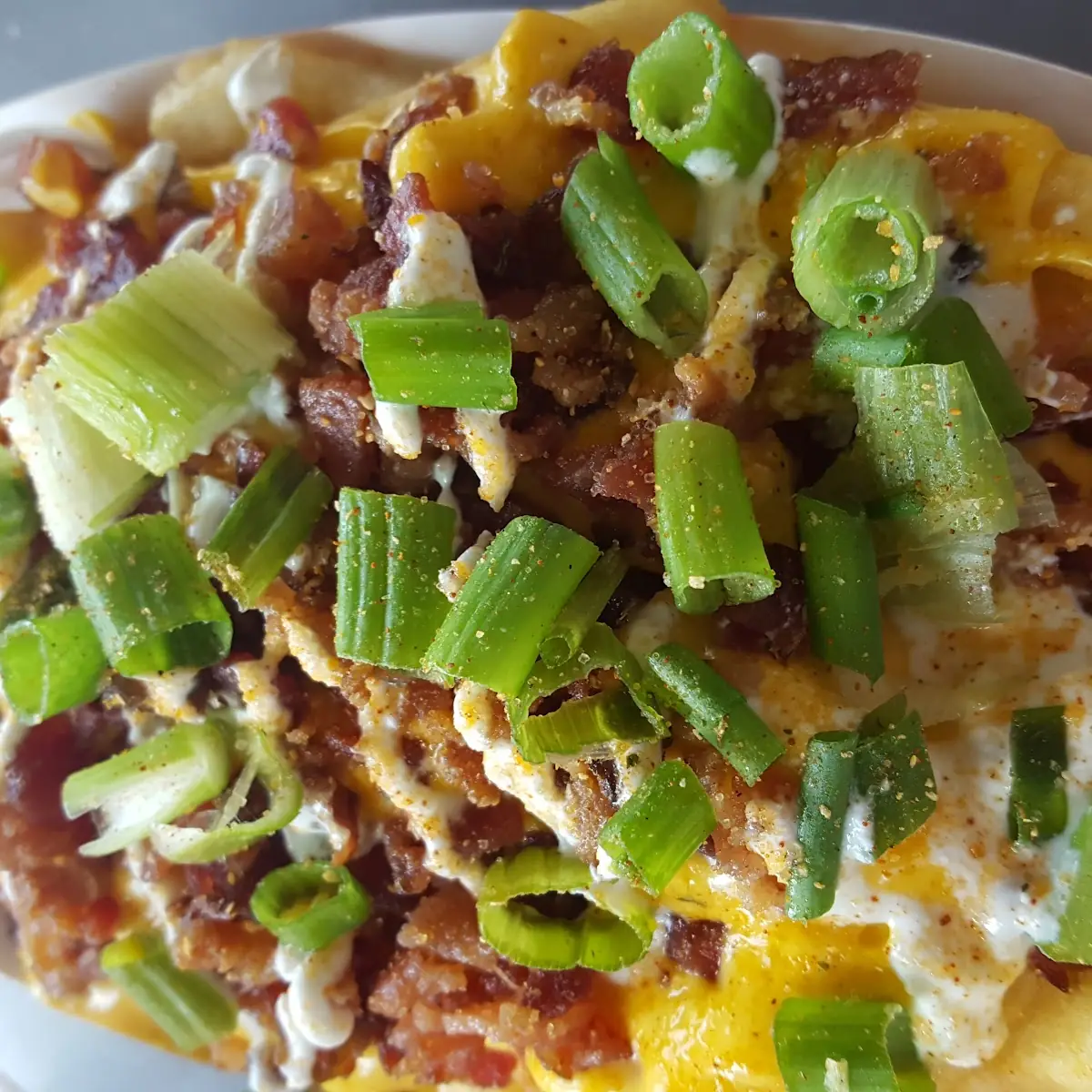 Carne Asada Fries