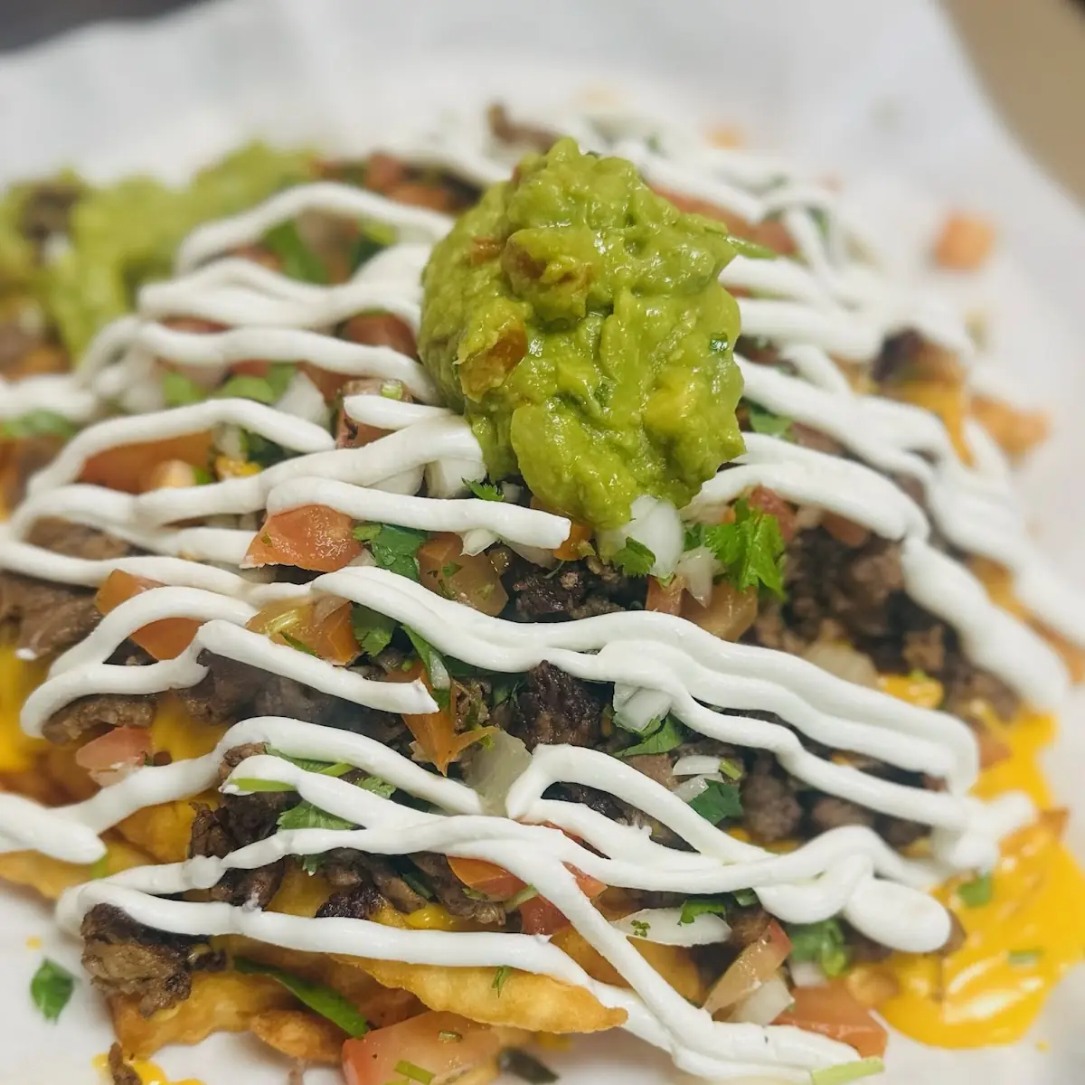 Asada Fries
