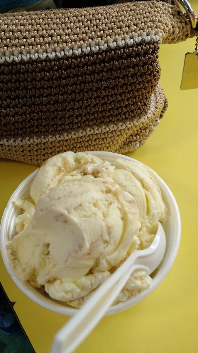 Vanilla Ice Cream