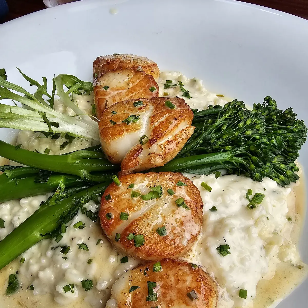 Diver Sea Scallops