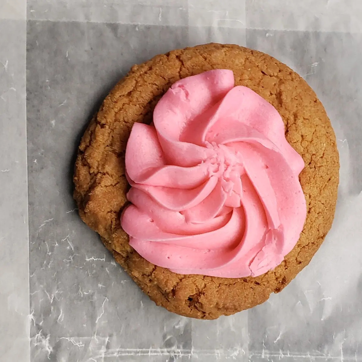 Sugar Cookies