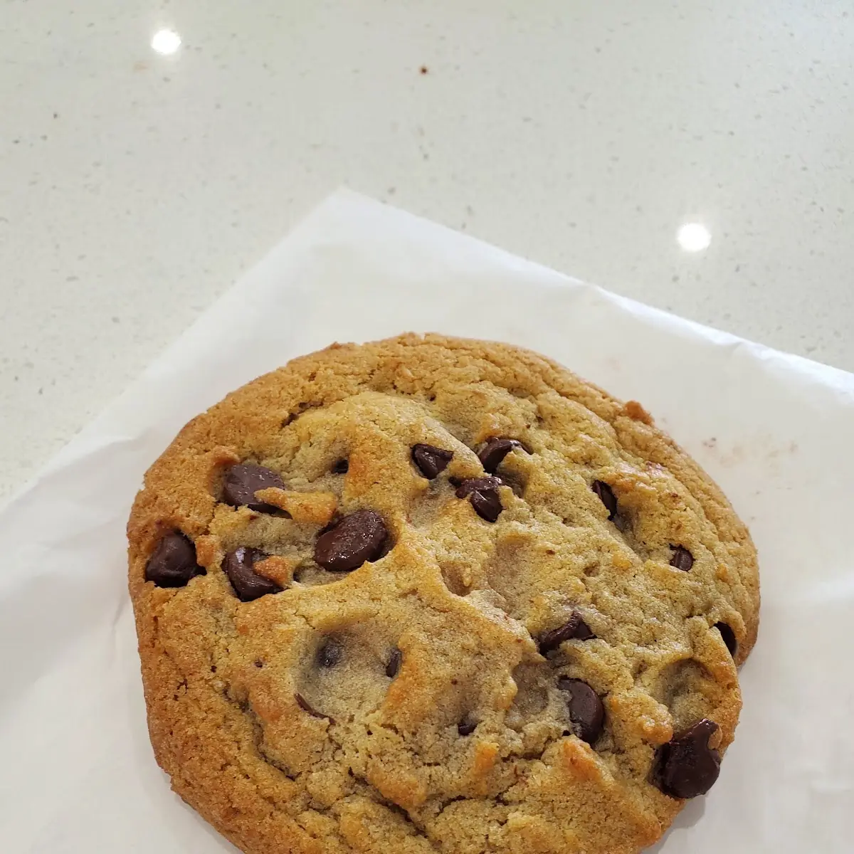 Chocolate Chip Cookie